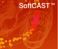Engineering Software Products and Services